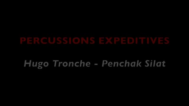 Vidéo La Techno (ca Se Discute Du 19 Juin 1995)