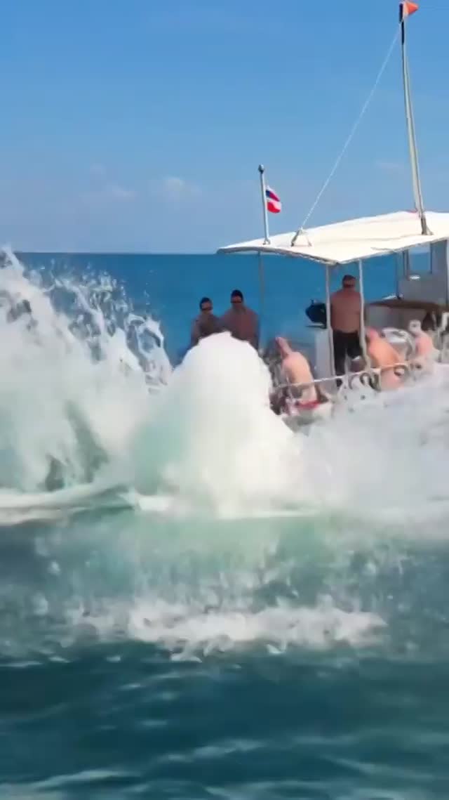 Vidéo Le Premier Plongeon Des Vacances