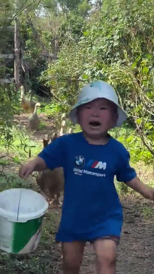 Vidéo 