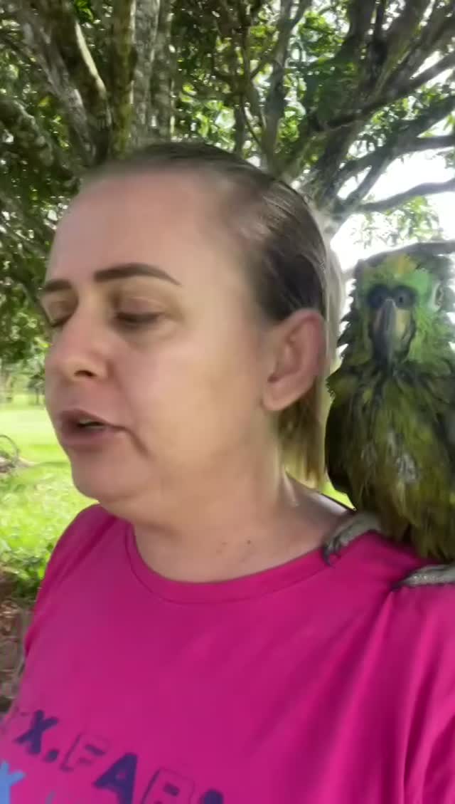 Vidéo Une Femme Essaie De Disputer Son Perroquet