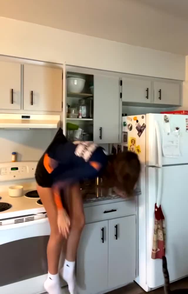 Aider Son Chat à Descendre Du Frigo