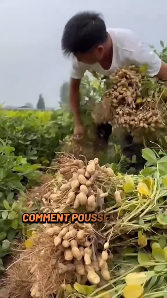 Vidéo Pub Vizer - Commerçant Vs Sdf