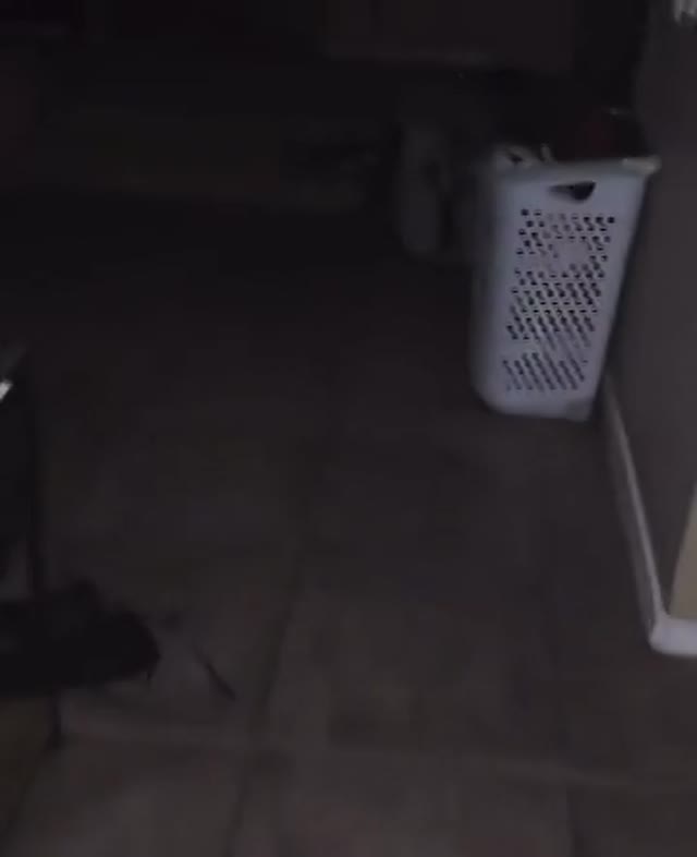 Une Scène Flippante